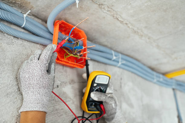 Best Electrical System Inspection  in Ecorse, MI